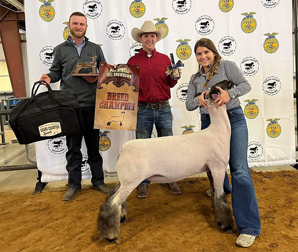 Champion Market Lamb<br />
2022 North Texas Showdown