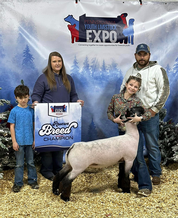 Reserve Champion Cross Ewe<br />
2022 PA Youth Expo